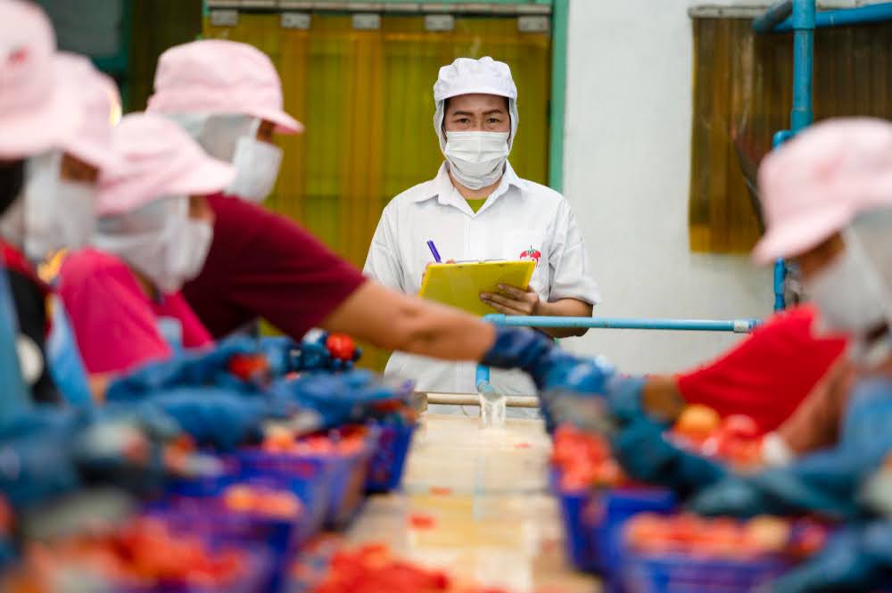 Harga Sertifikat Food Handling Terbaru 2025